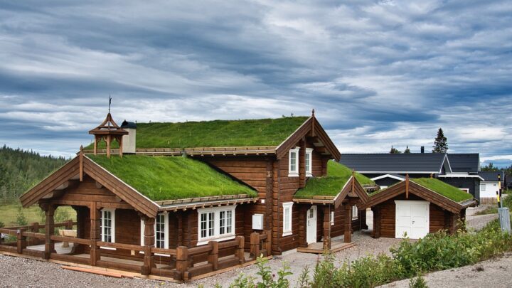 Lekki dach zielony – co warto o nim wiedzieć?