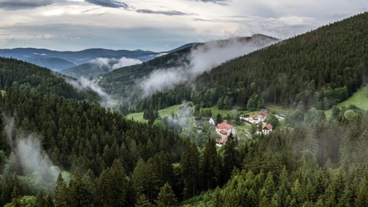 Gdzie na wakacje? Na co turyści zwracają dziś największą uwagę przy wyborze wyjazdu letniego?